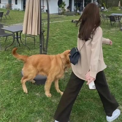 圣殿骑士的宝藏